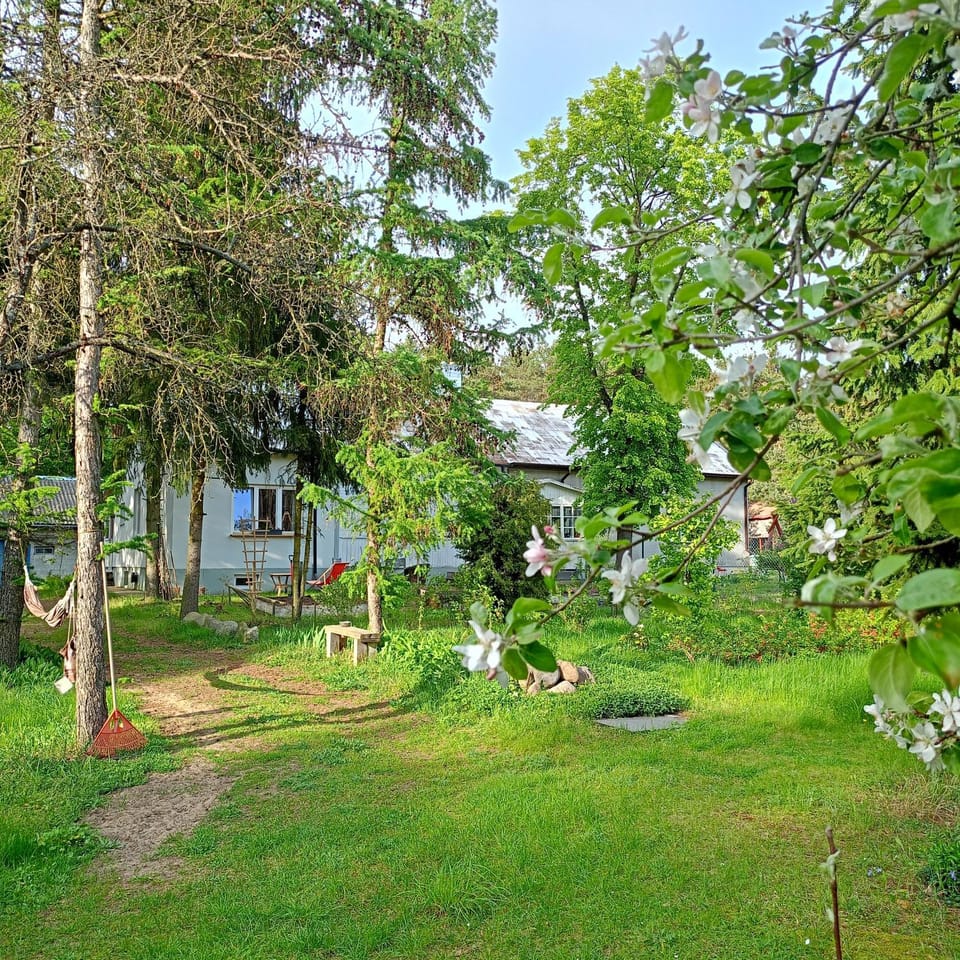 Garden, View (from property/room)