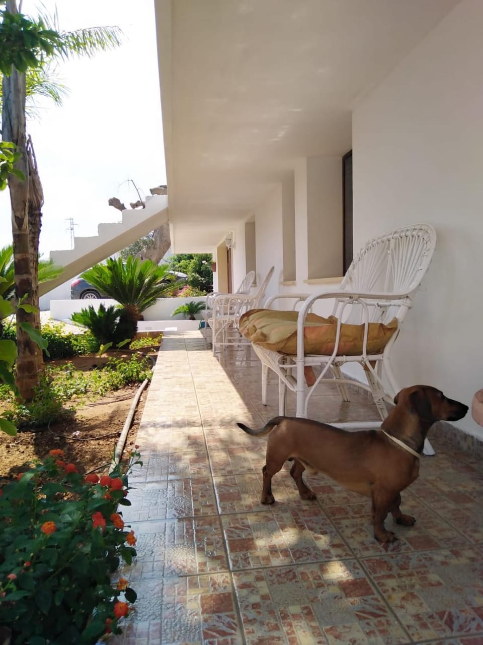 Mery House House in Apulia