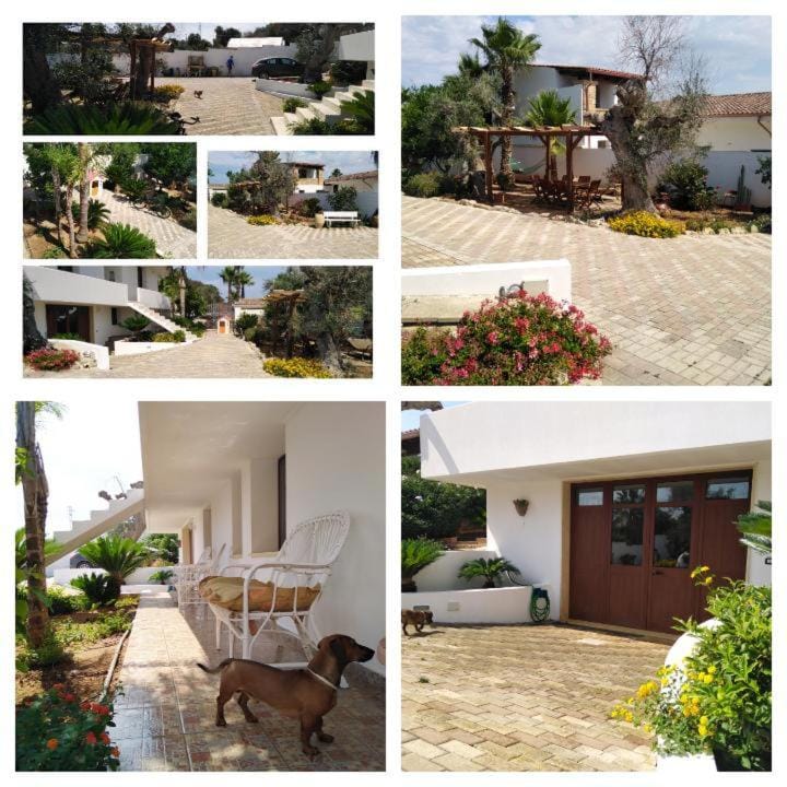 Mery House House in Apulia