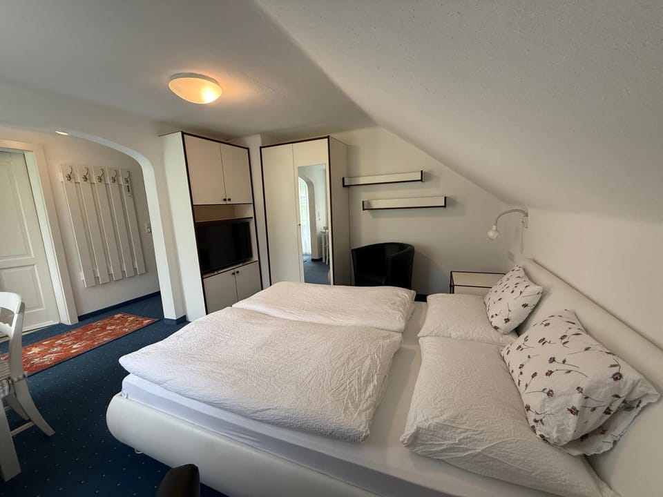 Bed, TV and multimedia, Photo of the whole room, wardrobe