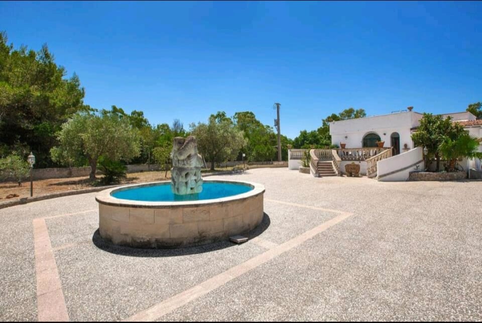 Natural landscape, Garden, Garden view