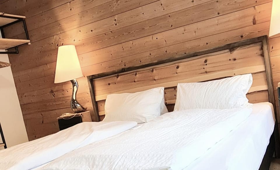 Haus Tannenblick - Joker Card included in summer Apartment in Salzburgerland