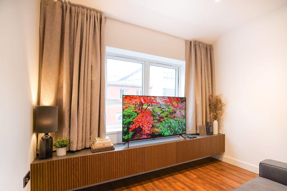 TV and multimedia