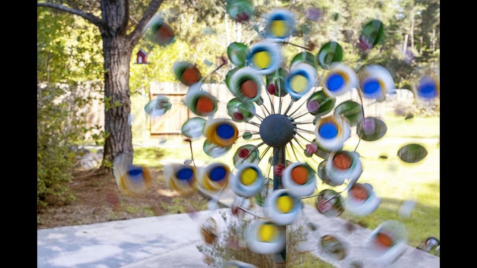 A - Karen`s Ferngully House in Mendocino County