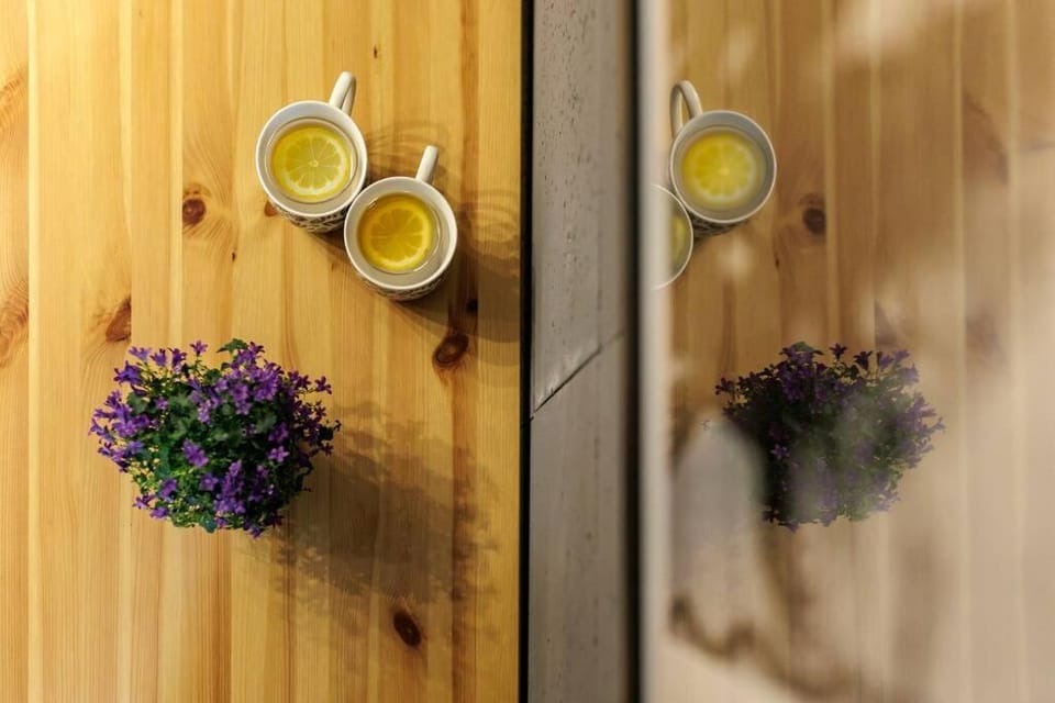 Jan's Urban Retreat Apartment in Wroclaw