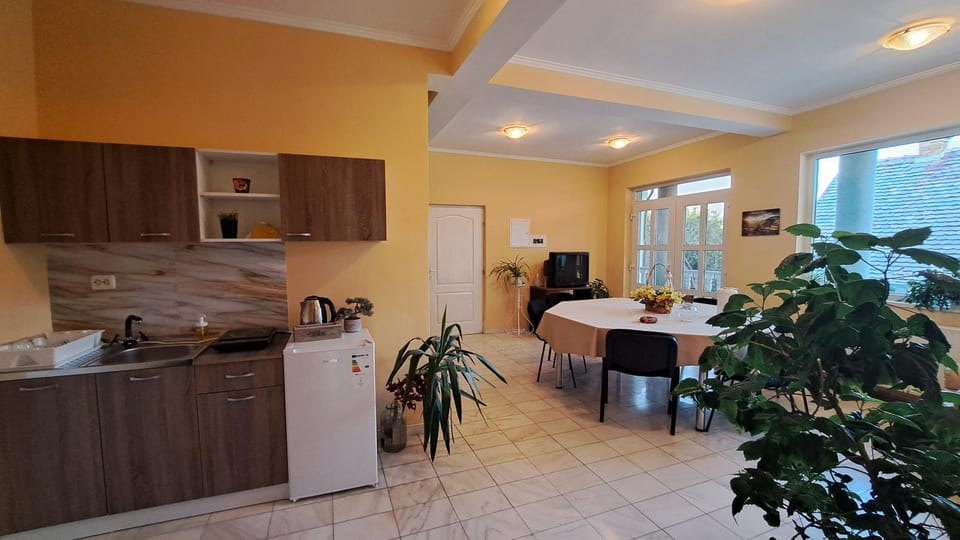 Erika Panzió Bed and Breakfast in Romania