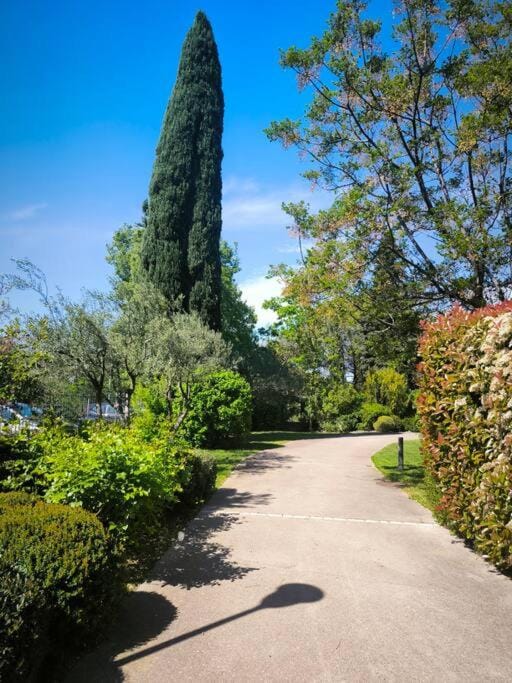 Natural landscape, Garden