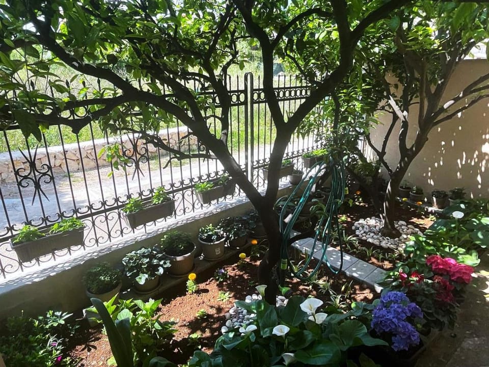 Day, Garden, Garden