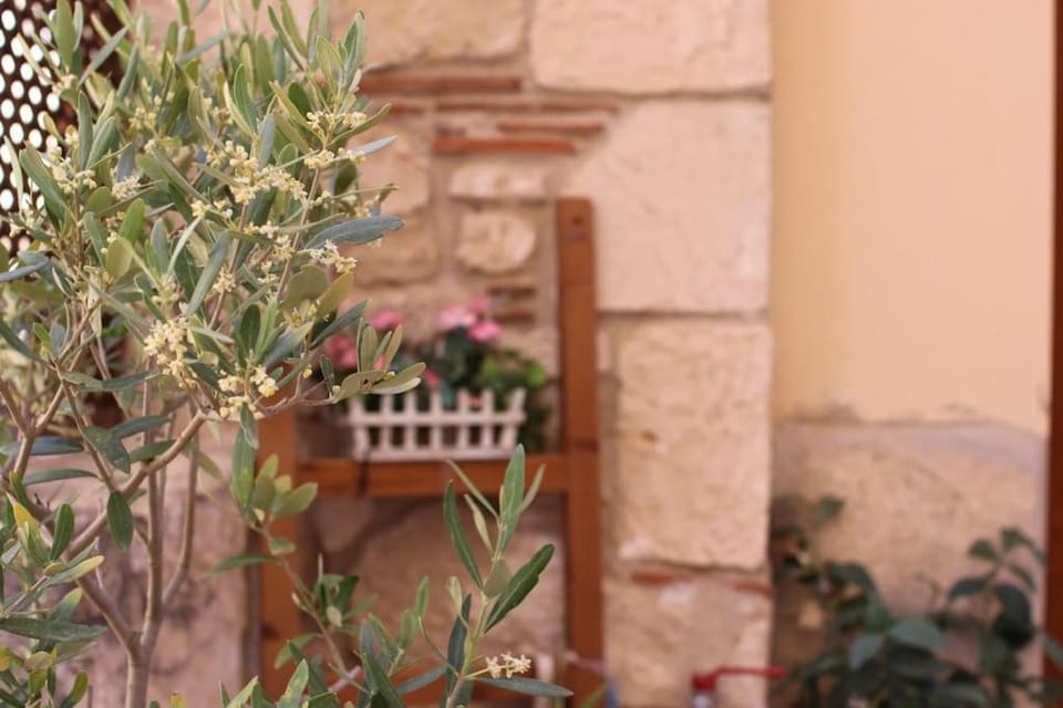 Rodon2 - Two bedroom apartment Apartment in Halkidiki