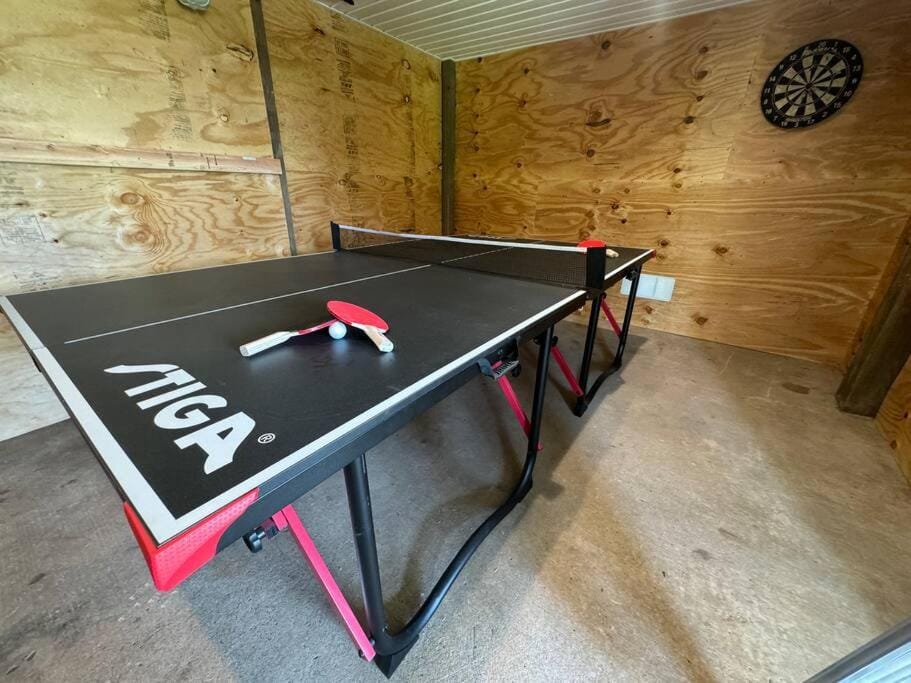 Darts, Game Room