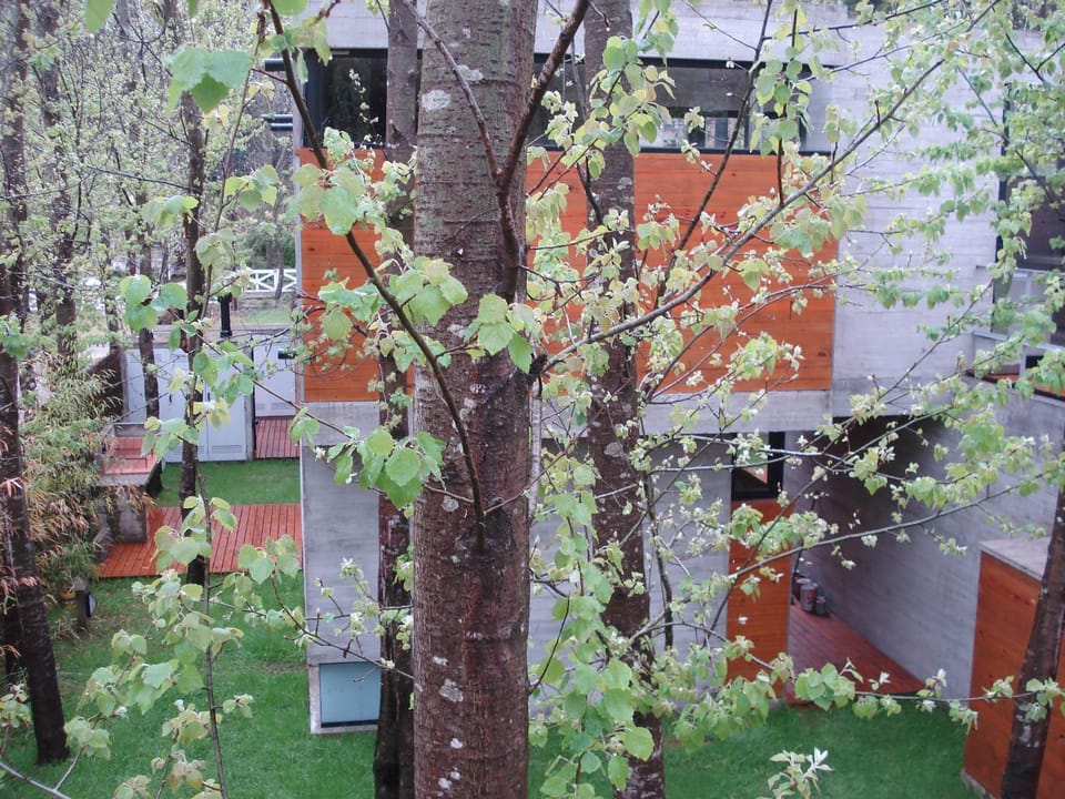 Spring, Garden