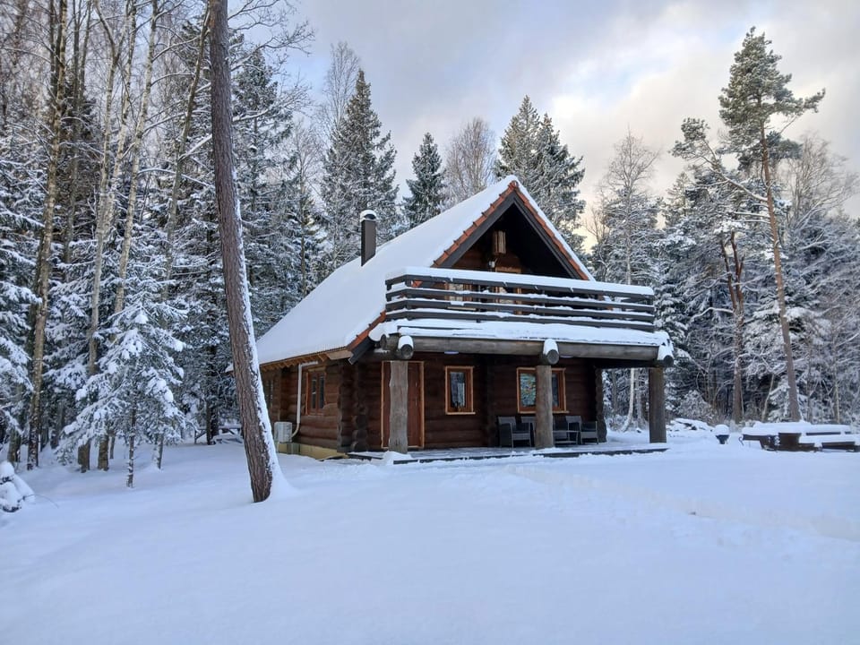 Day, Natural landscape, Winter