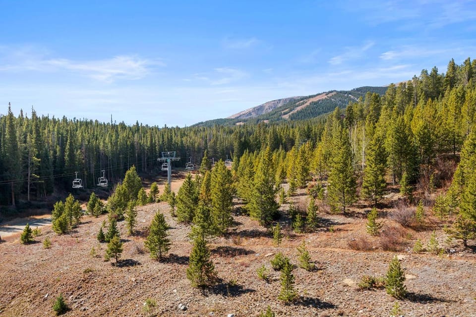 Beaver Run Resort 4516 by Great Western Lodging Apartment in Breckenridge