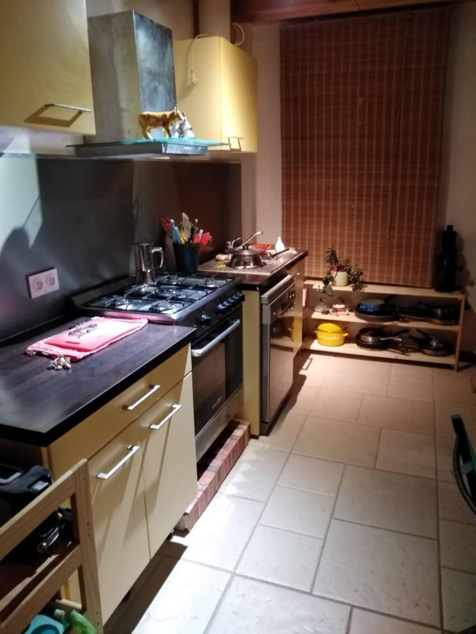 dishwasher, pet friendly, stove