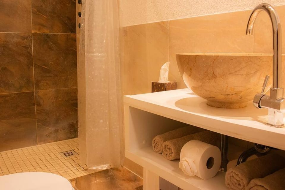 Shower, Toilet, towels
