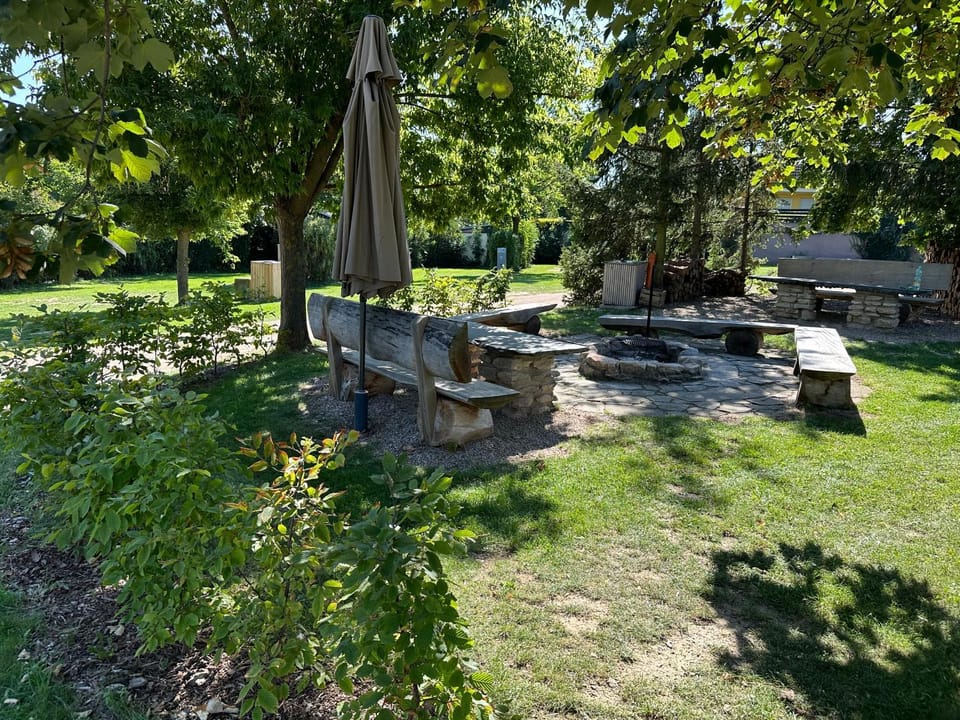 Natural landscape, Garden, Seating area