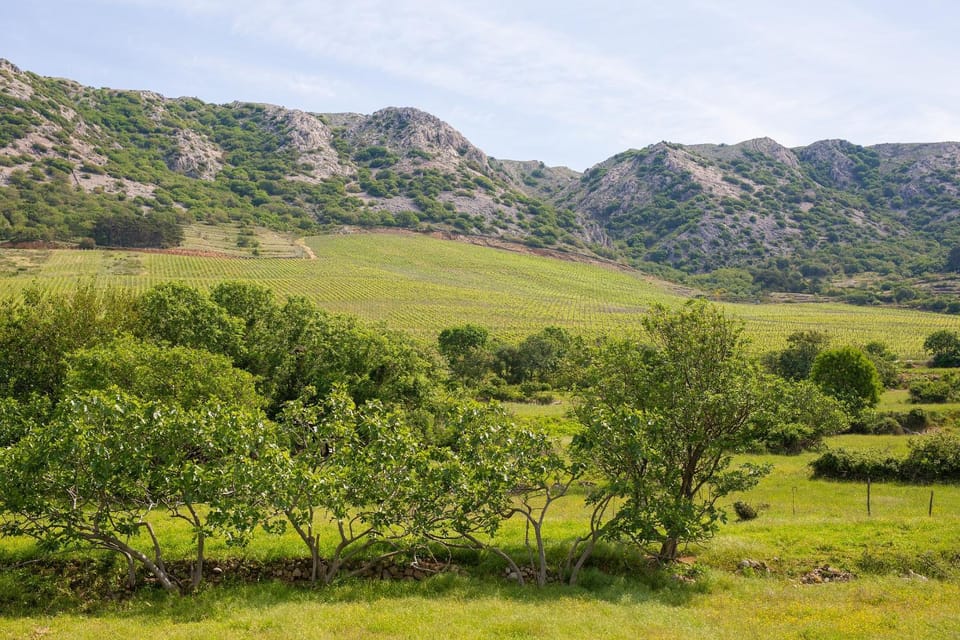 Natural landscape