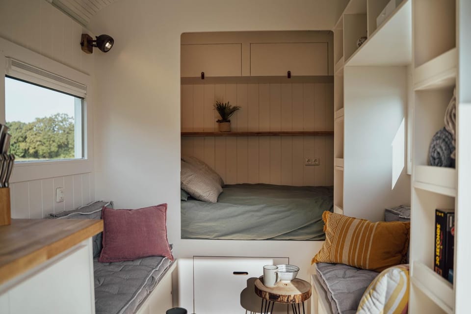 Bed, Seating area, Bedroom