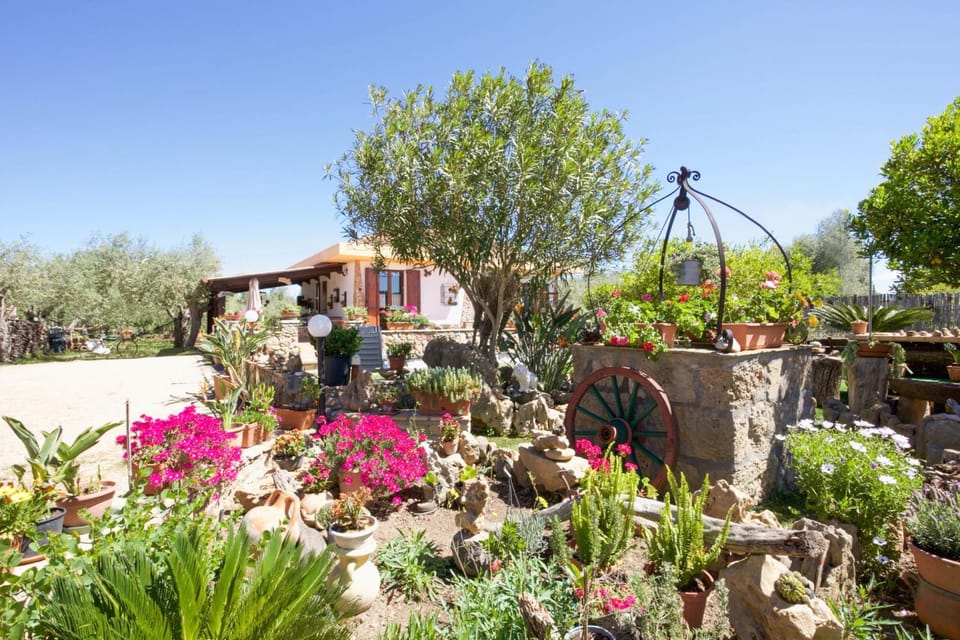 Villa Pedra Moro Villa in Sardinia