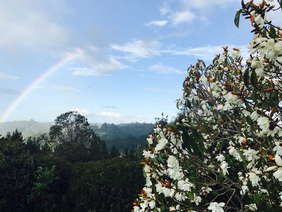 Natural landscape, Mountain view