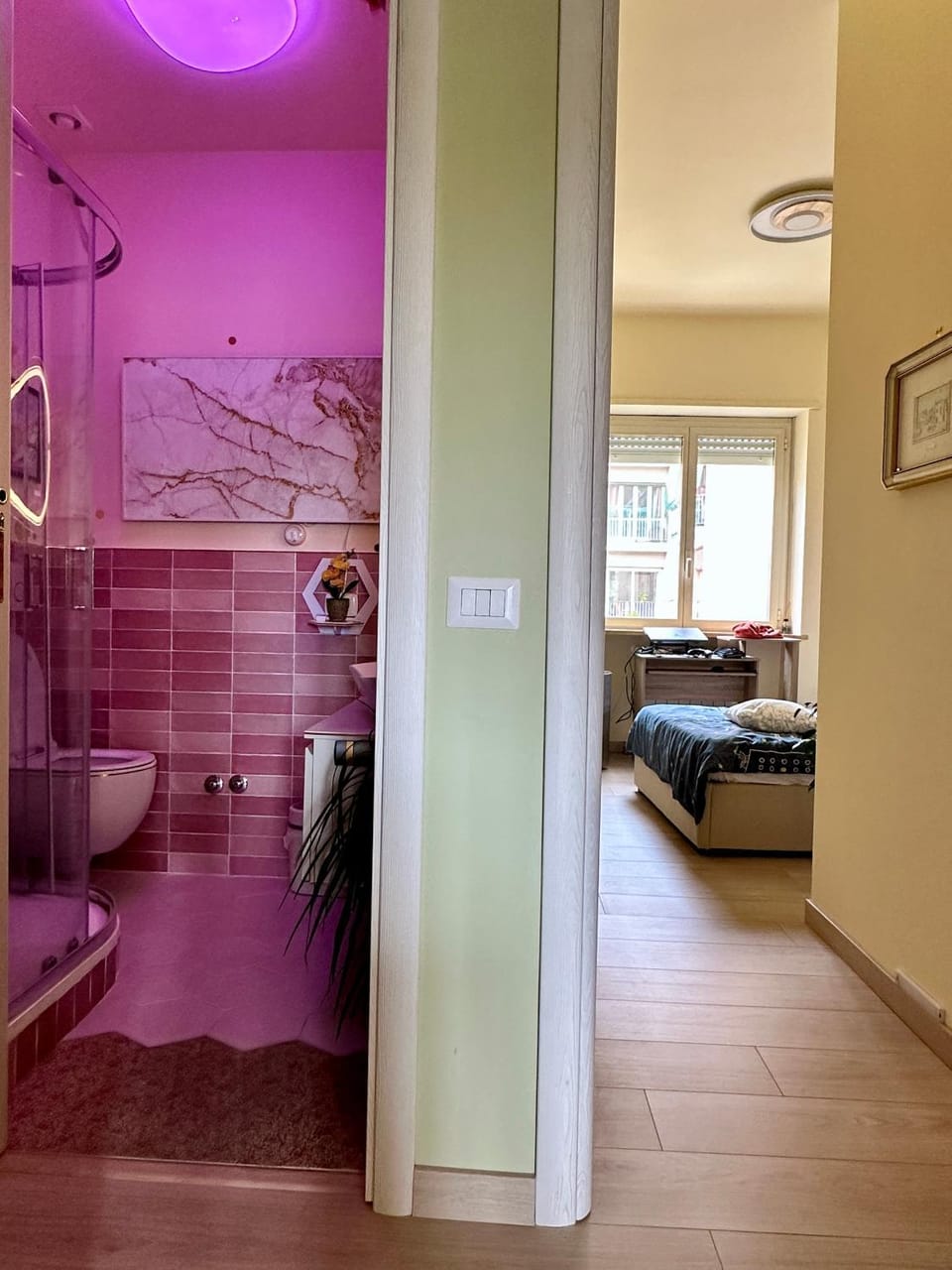 Shower, Bed, Photo of the whole room, Bedroom