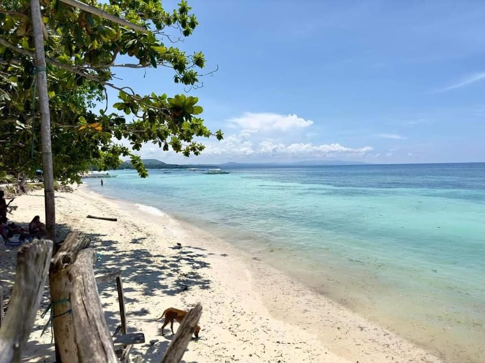 Beach, Beach