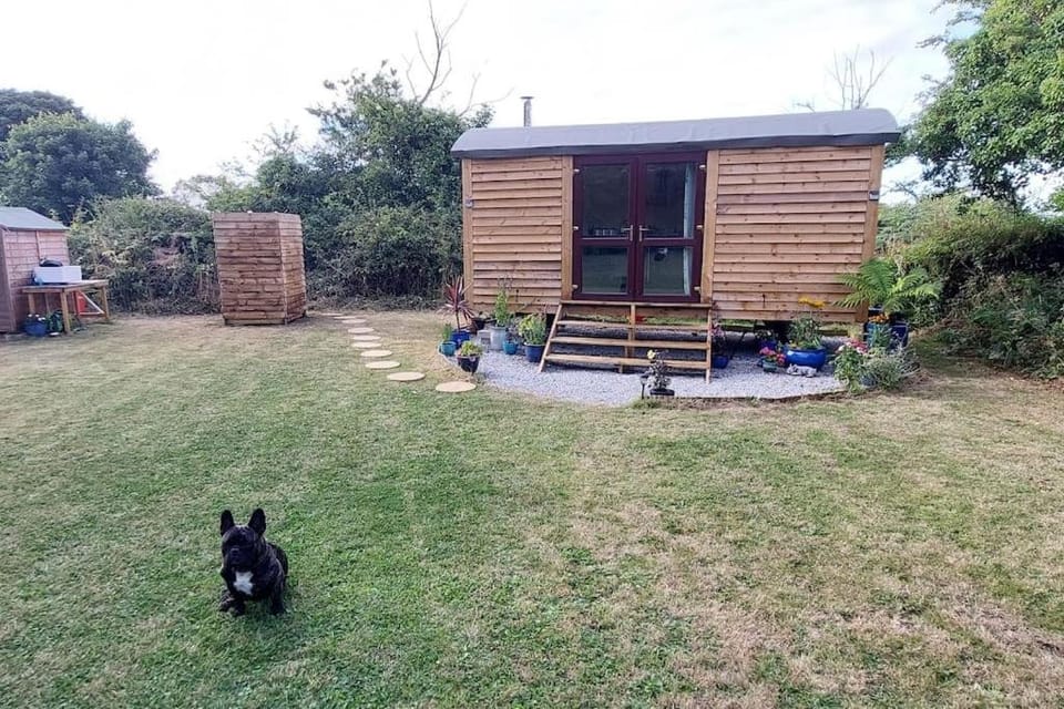Reggies Hideaway a secluded off grid Shepherds hut House in England