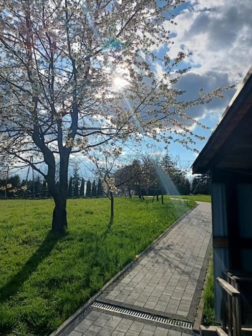 Spring