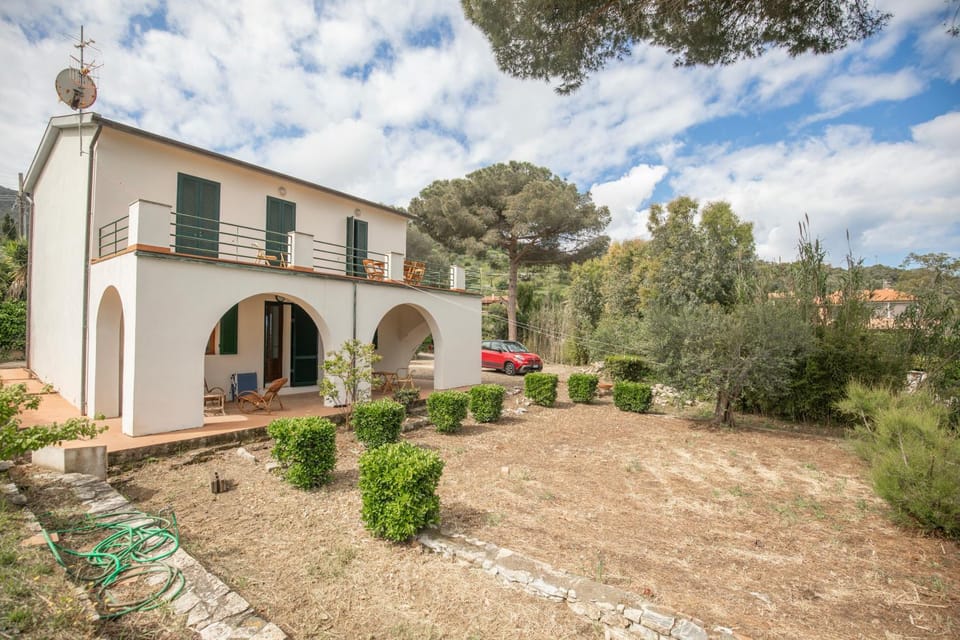 Property building, Garden, Garden view