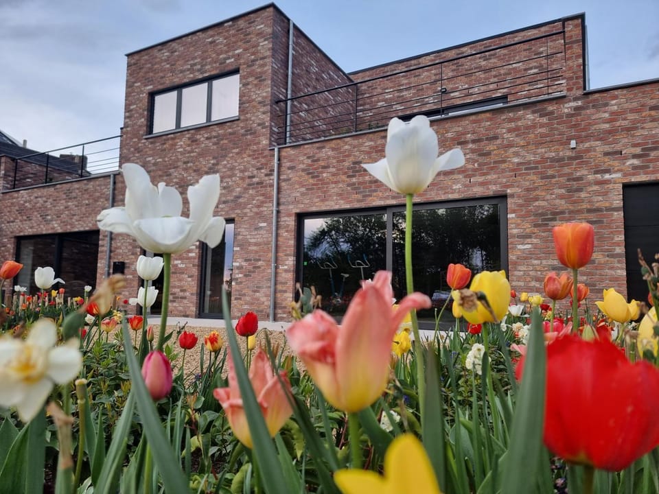 Property building, Garden view