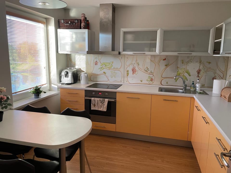 Kitchen or kitchenette, oven, stove, washing machine