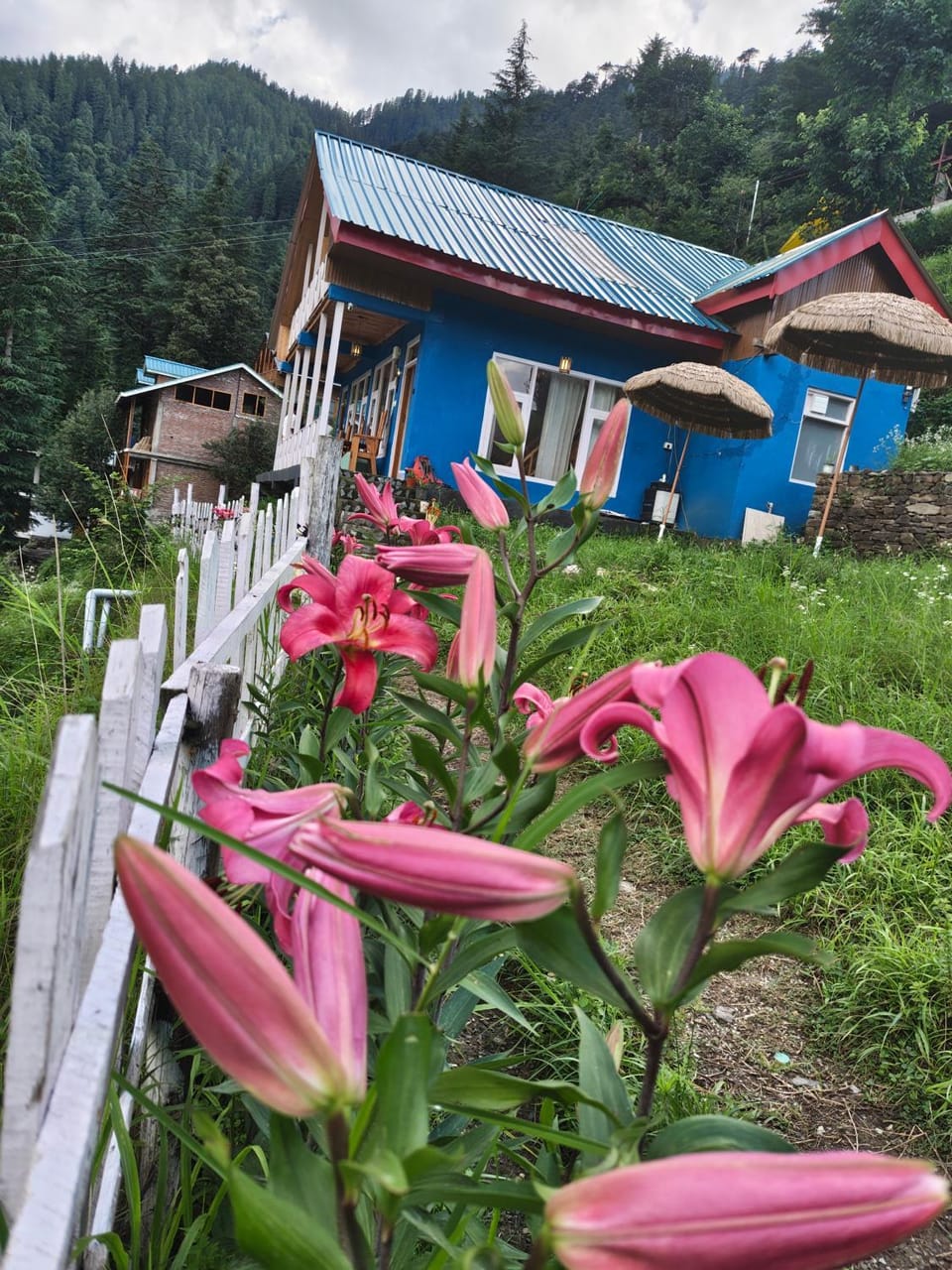 Soho house Apartment in Himachal Pradesh
