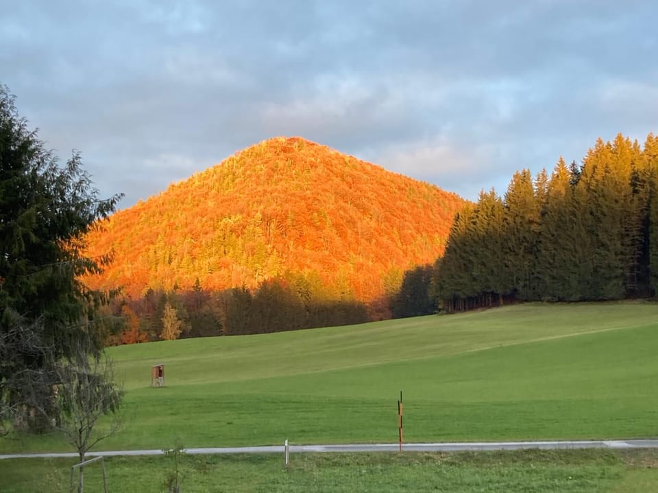 Natural landscape, View (from property/room)