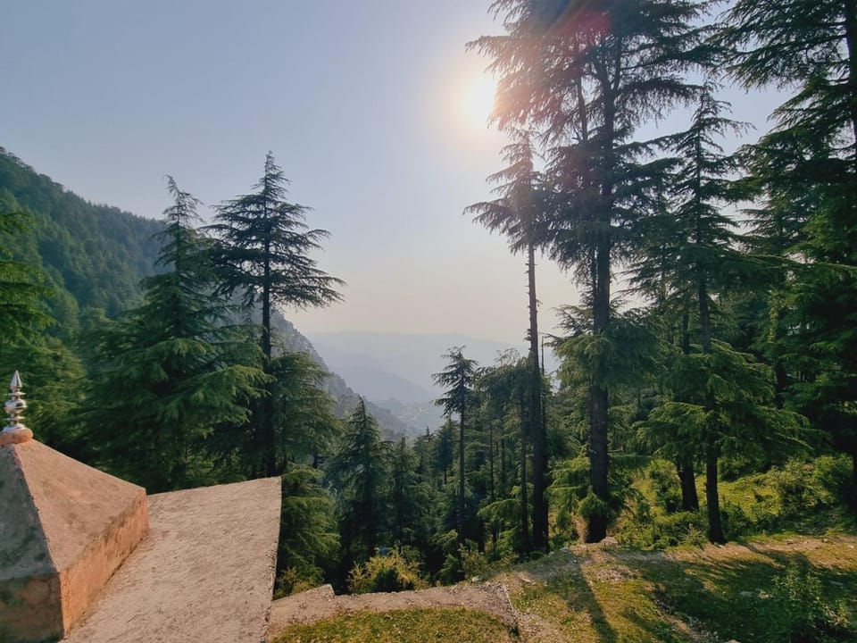 Natural landscape