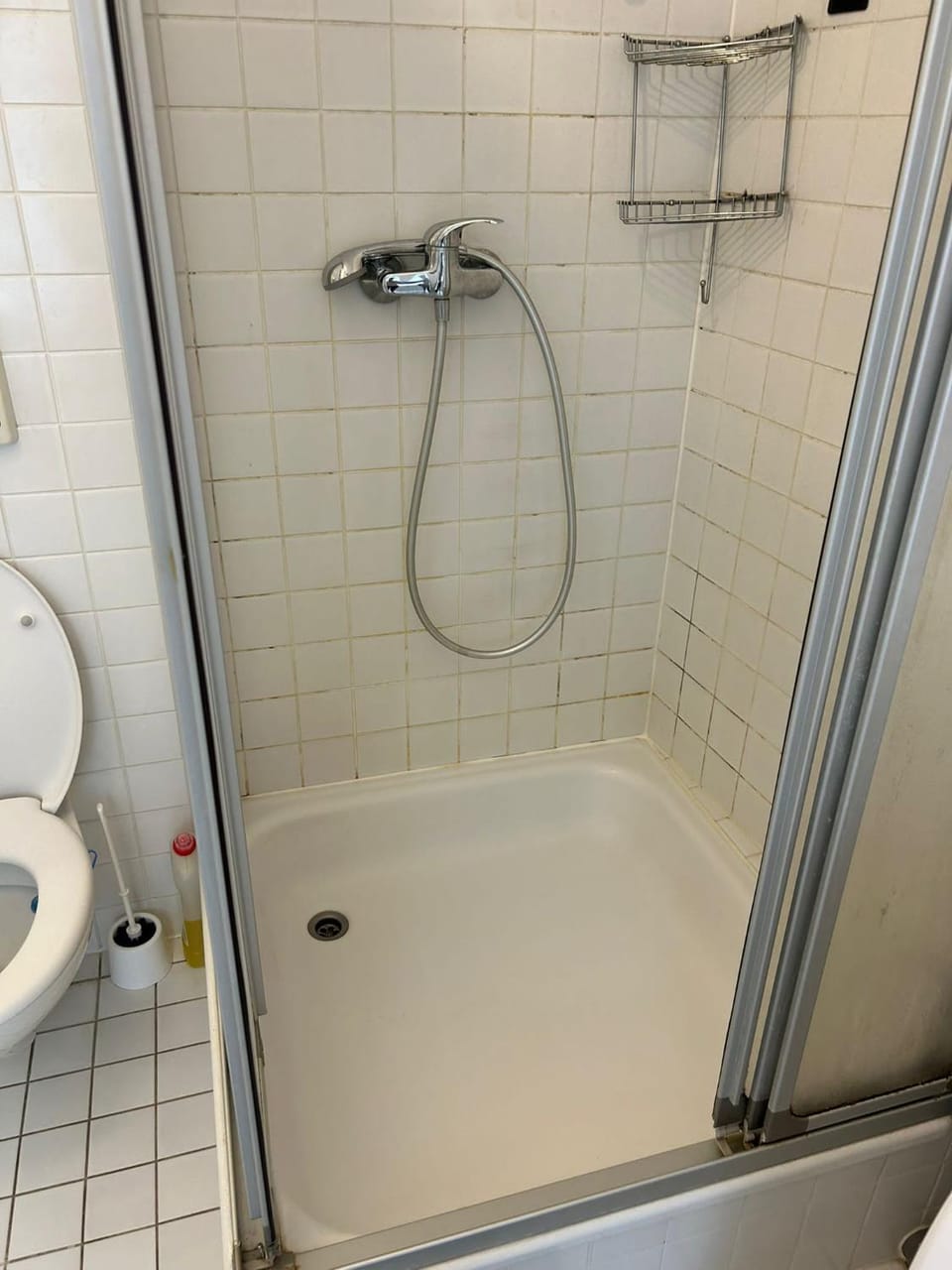 Shower, Toilet, Bathroom, Decorative detail