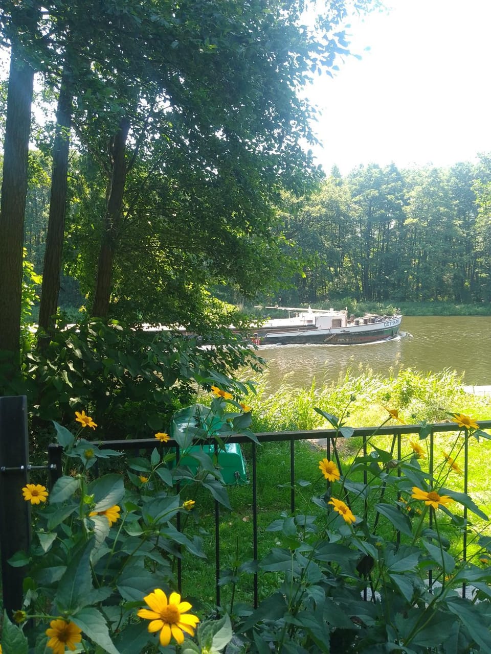 Natural landscape, Garden view, River view