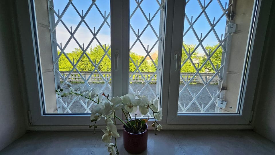 Spring, Garden, Garden view