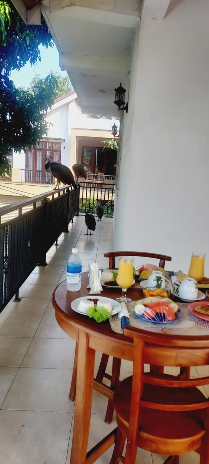 Villa Sisara Apartment in Negombo