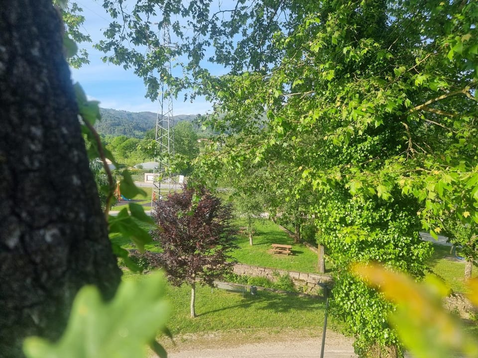 Natural landscape, Garden