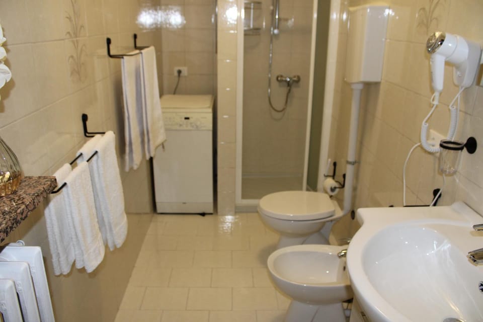 Shower, Toilet, Bathroom, bidet, towels