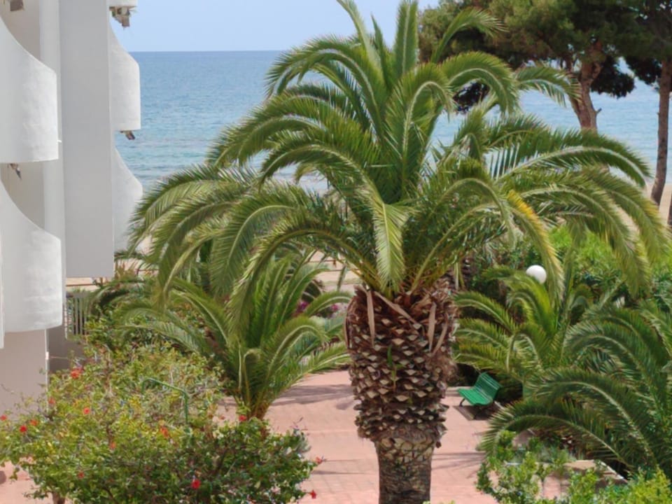 Apartamento 1 linea playa Apartment in Alcossebre