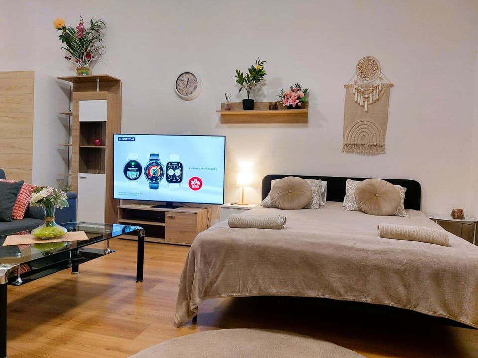 Bed, TV and multimedia, Living room, Photo of the whole room, Seating area, Bedroom