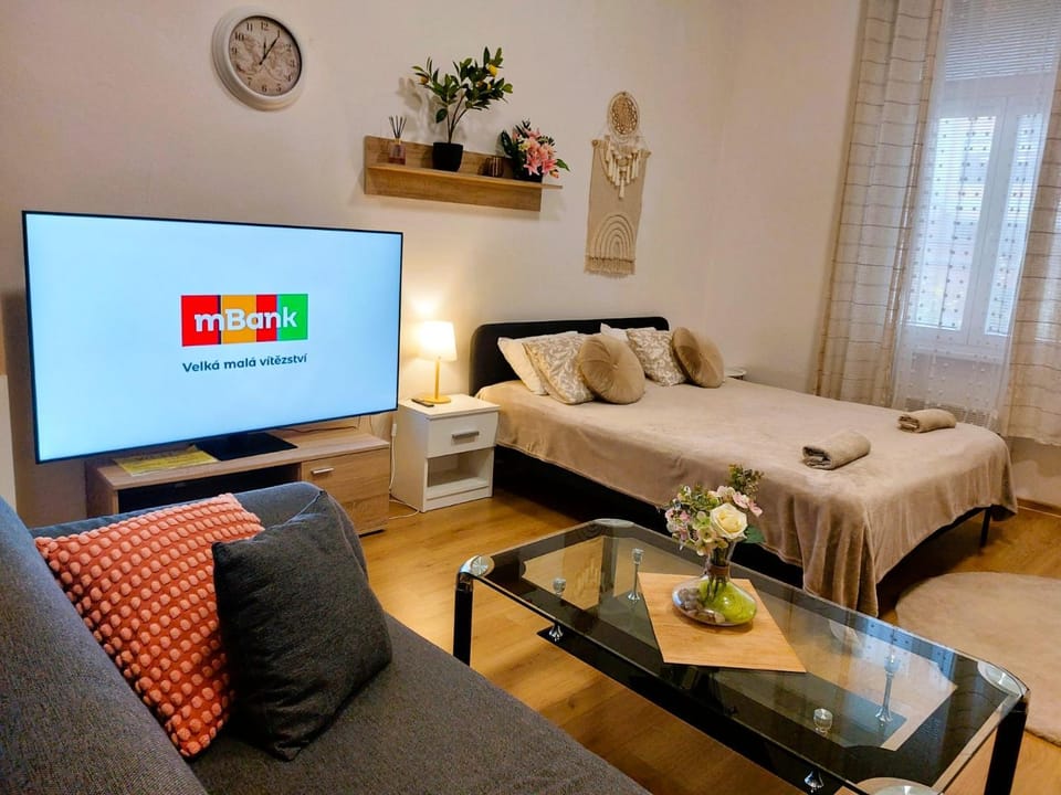 Bed, TV and multimedia, Living room, Photo of the whole room, Seating area, Bedroom