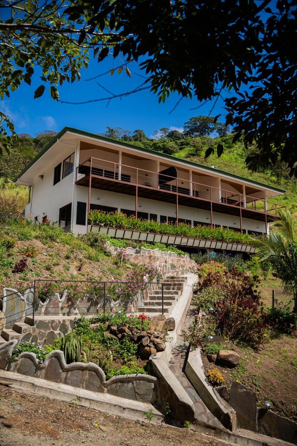 Property building, Natural landscape, Garden