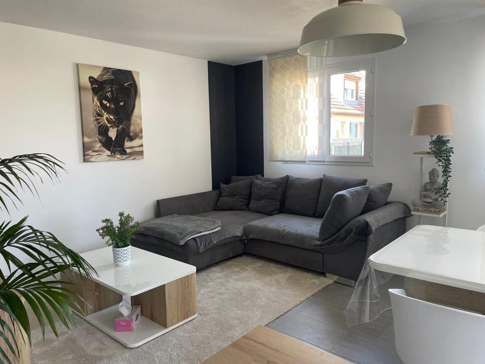 Appart cosy 4 à 6 pers - parking privé - 5 min Colmar - poêle à pellets - 2 terrasses Apartment in Grand Est