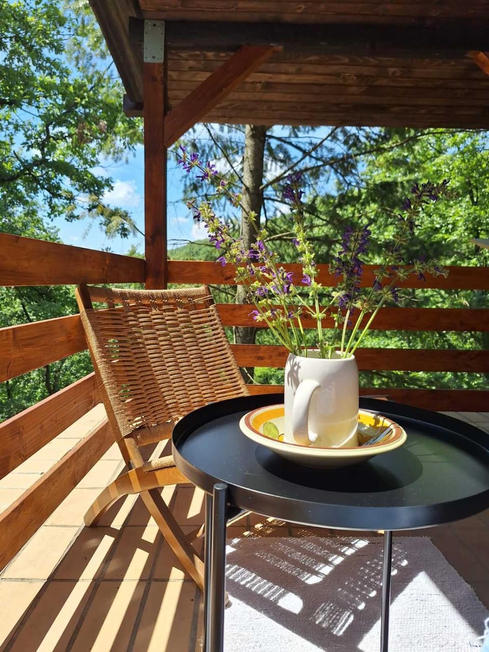 Garden, Balcony/Terrace, Garden view