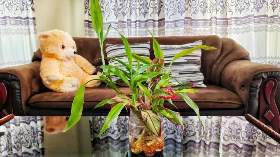 Airport HOSTEL 22 CHURCH ROAD Hostel in Negombo