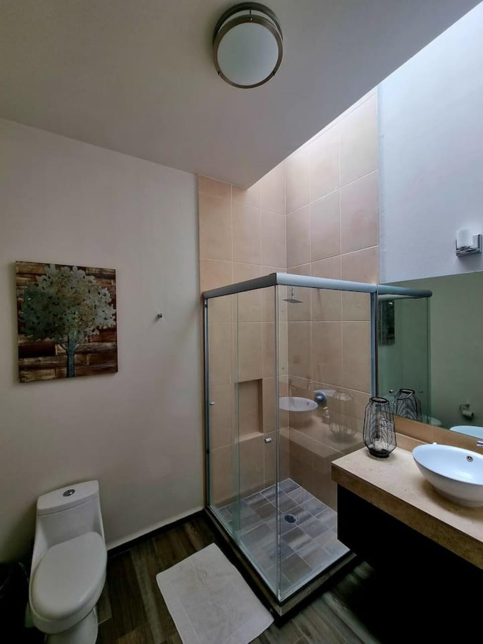 Shower, Bathroom, towels