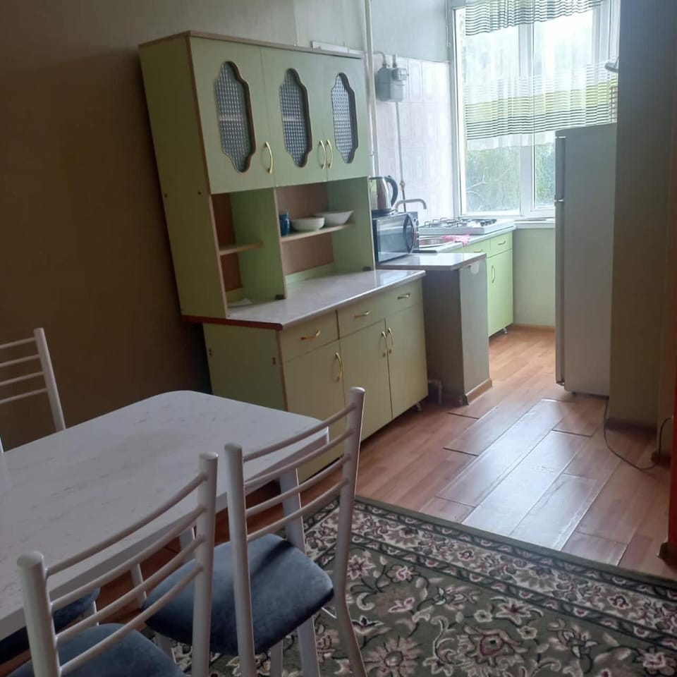 Медерова, уютная квартира Apartment in Almaty Region, Kazakhstan