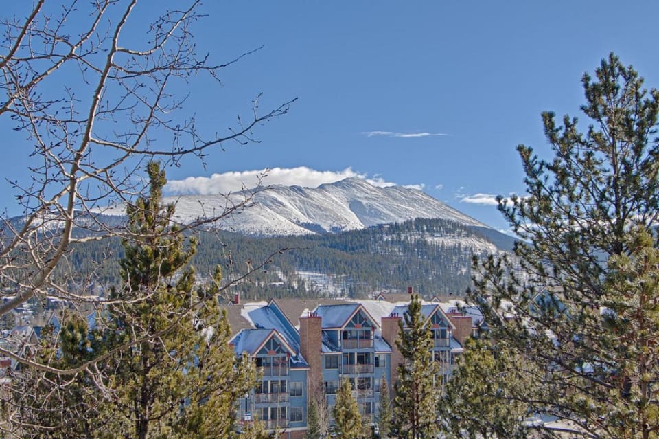 Ski Hill Condo 31 by Great Western Lodging Apartment in Breckenridge